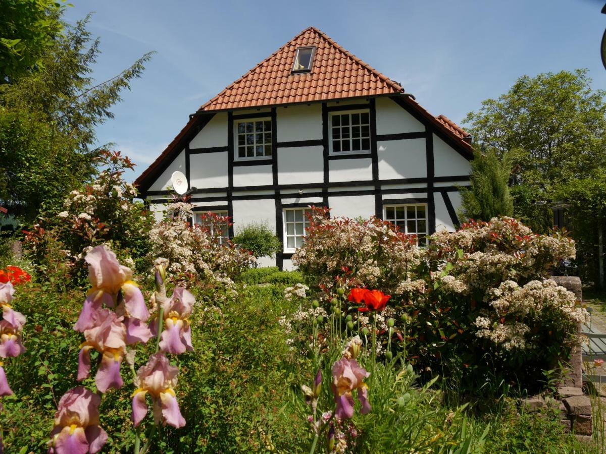 Ferienwohnung Weserblick Polle エクステリア 写真